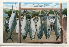 a panel in the accordian fold packet. fish, JW Rowe, postcard collection, Piers, Catalina Island, California