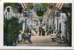 a panel in the accordian fold packet. JW Rowe, postcard collection, Avalon, Catalina Island, California