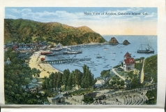 a panel in the accordian fold packet. JW Rowe, postcard collection, Avalon, Catalina Island, California