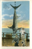 a panel in the accordian fold packet. fish, JW Rowe, postcard collection, Piers, Catalina Island, California