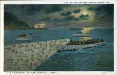 postcard collection, Avalon, Catalina Island, California