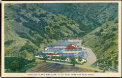 postcard collection, Bird Park, Catalina Island, California