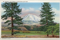 a panel in the accordian fold packet. Jerry Rowley (dad), postcard collection, Mt. Shasta, Shasta, California