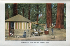 one accordian panel in a packet.Jerry Rowley (dad), postcard collection, Big Trees, Sequoia National Park, California