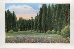 one accordian panel in a packet.Jerry Rowley (dad), postcard collection, Crescent Meadow, Sequoia National Park, California