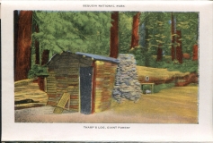 one accordian panel in a packet.Jerry Rowley (dad), postcard collection, Giant Forest, Sequoia National Park, California