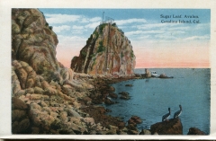 a panel in the accordian fold packet. JW Rowe, postcard collection, Avalon, Catalina Island, California