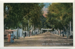 a panel in the accordian fold packet. JW Rowe, postcard collection, Avalon, Catalina Island, California