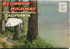 "Redwood Highway of the Redwood Empire", souvenir packet book, front cover. postcard collection, Redwood Highway, California