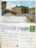 Postcard "Summit of the Fall River Pass...Estes Park Road, Colorado", postmarked Aug. 20 __, Estes Park.
To: Miss Beulah Parrot
From:  Ronald ? Roma?
postcard collection, Fall River Pass, Estes Park Rd., Estes Park area, Colorado