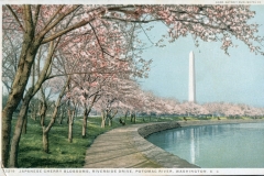 postcard collection, Washington Monument, Washington, District of Columbia