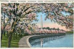 postcard collection, Washington Monument, Washington, District of Columbia