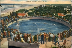 "Marine Studios, Marineland Florida", souvenir packet book, back cover. postcard collection, Marine Studios, Florida