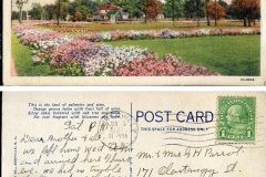 Postcard  "Petunuias in Bloom in Florida", postmarked Jan. 1937 from Gainesville, FLTo: Mr. and Mrs. G. H. ParrotFrom: August & Emma (Elliott) Tissotpostcard collection, garden, Gainesville, Florida