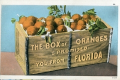 "The box of oranges  I promised you from Oregon", postcard collection, Orange Grove, Florida