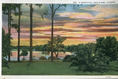 postcard collection, sunset,,, Florida