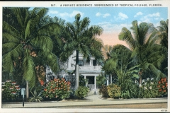 postcard collection, Florida