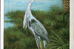 Birds, postcard collection, Florida