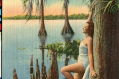 postcard collection, Cypress Gardens, Florida