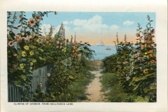 one panel in accordian folded packet: Edward B. Elliott, postcard collection, Hollyhock Lane and harbor, Provincetown, Massachusetts