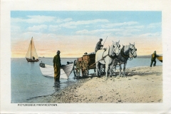 one panel in accordian folded packet: Edward B. Elliott, postcard collection, Harbor, Provincetown, Massachusetts