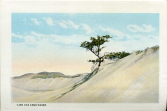 one panel in accordian folded packet.. Edward B. Elliott, postcard collection, San Dunes, Cape Cod, Massachusetts