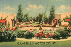 flowers, postcard collection, Campbell's Motor Court, North Platte, Nebraska