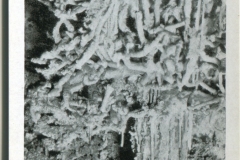 miniature photo in a souvenir packet. caves, postcard collection, Carlsbad Caverns, Carlsbad, New Mexico
