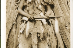 Native America in full head dress and skins. caves, postcard collection, Hut made of bark, Indian Reservation, New Mexico