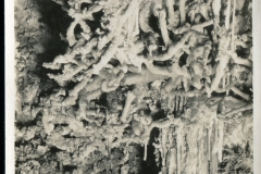 caves, postcard collection, Carlsbad Caverns, Carlsbad Caverns National Park, New Mexico