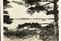 postcard collection, lakeview, Thousand Islands, New York