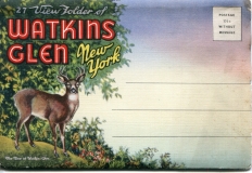 "Watkins Glen, New York" Souvenir packet book, front cover. postcard collection,  deer, Watkins Glen, New York