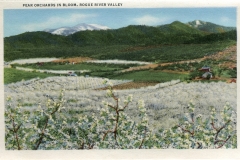 a panel in the accordian fold packet. Jerry Rowley (dad), postcard collection, Rogue River Valley, White City, Oregon